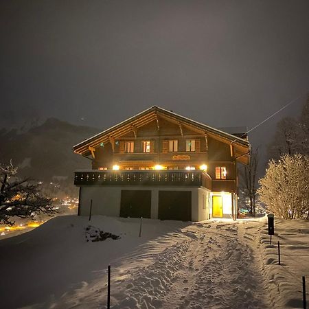 גרינדלוולד Chalet Studen מראה חיצוני תמונה